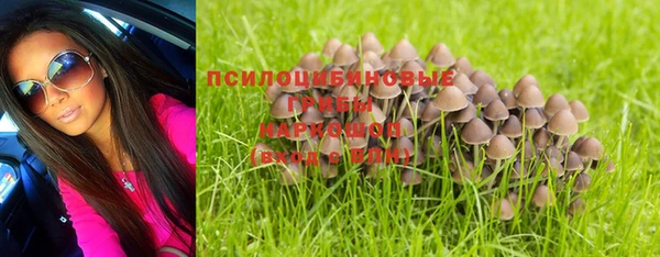 Альфа ПВП Тутаев