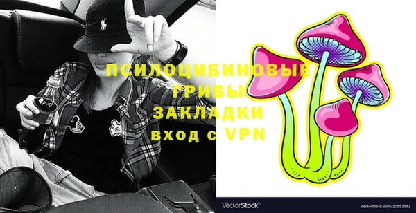 PSILOCYBIN Тында