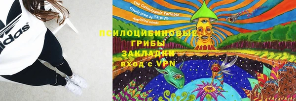 PSILOCYBIN Тында