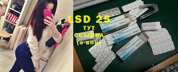 PSILOCYBIN Тында
