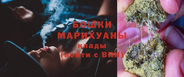 PSILOCYBIN Тында