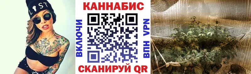 Конопля White Widow  наркота  Зубцов 